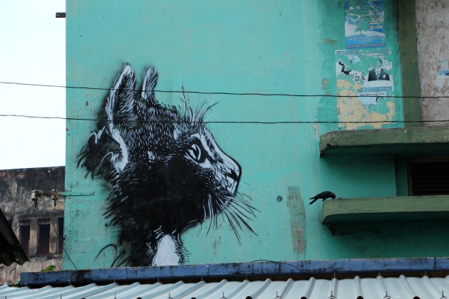 Street Cat – Definitely a favourite from the stencils in Colombo. So easy to miss this when you’re walking past.